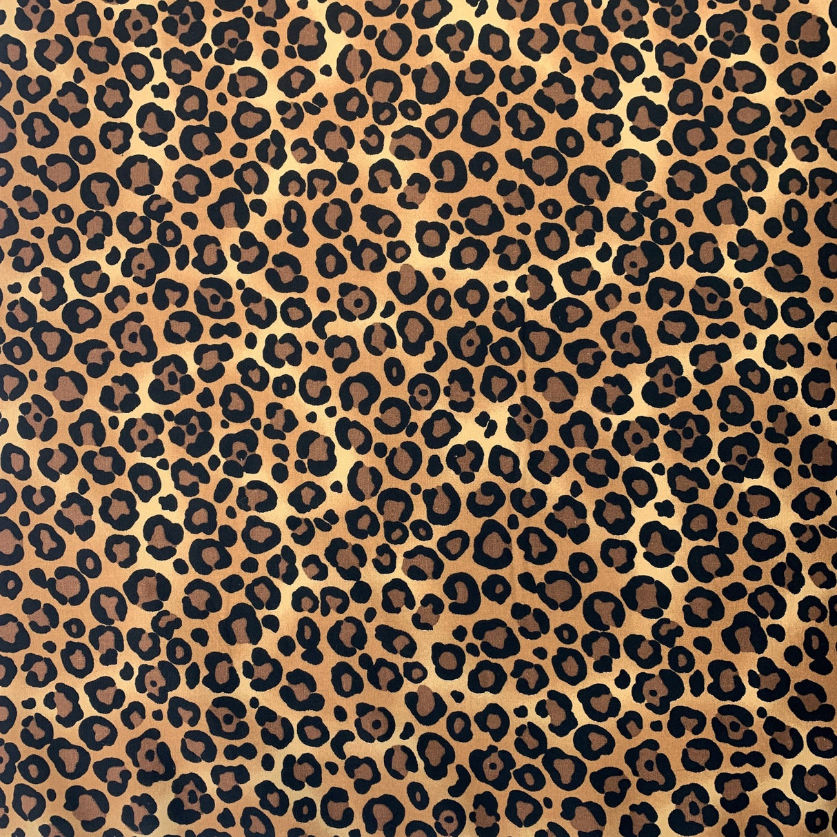 Poplin Prints Baby Leopard Pattern