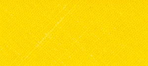 1028yellow