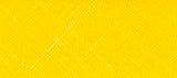 1028yellow