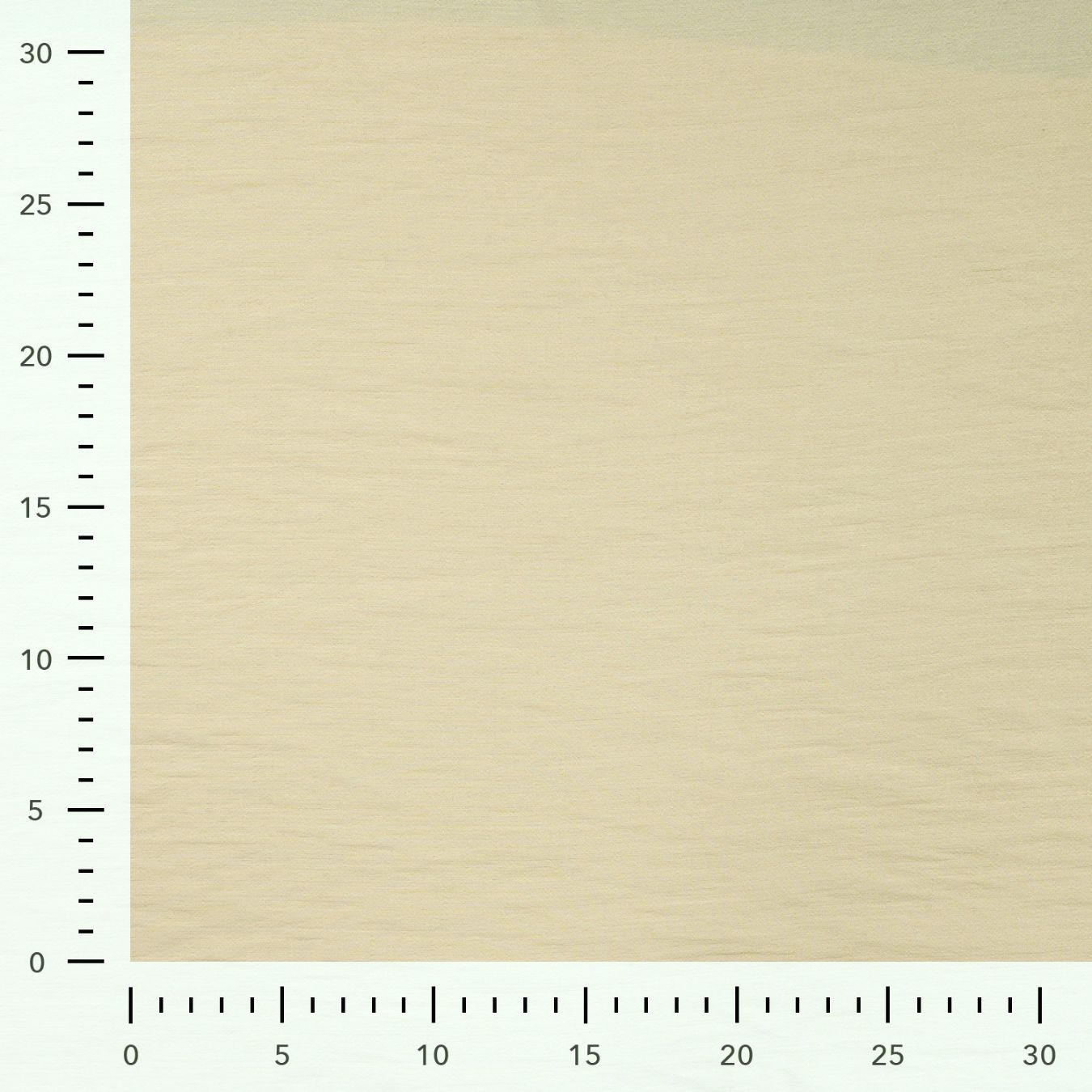 Airflow Viscose Champagne Plain Viscose Polyamide 140gsm Dress Fabric Ruler