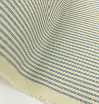 Cotton Canvas - Chain Gang Blue