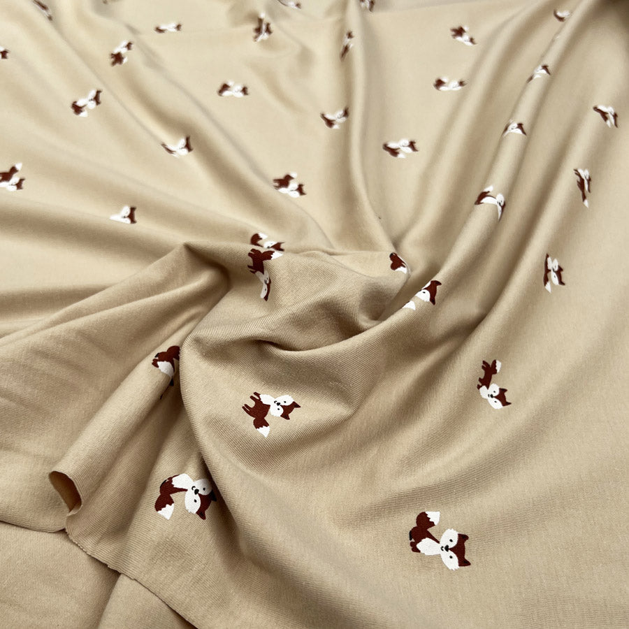 Cotton Jersey - Foxy