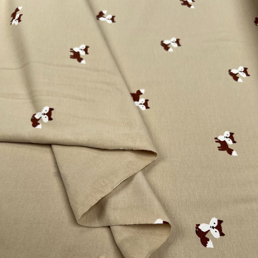 Cotton Jersey - Foxy