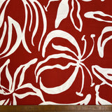 Light & Lush - Arbor