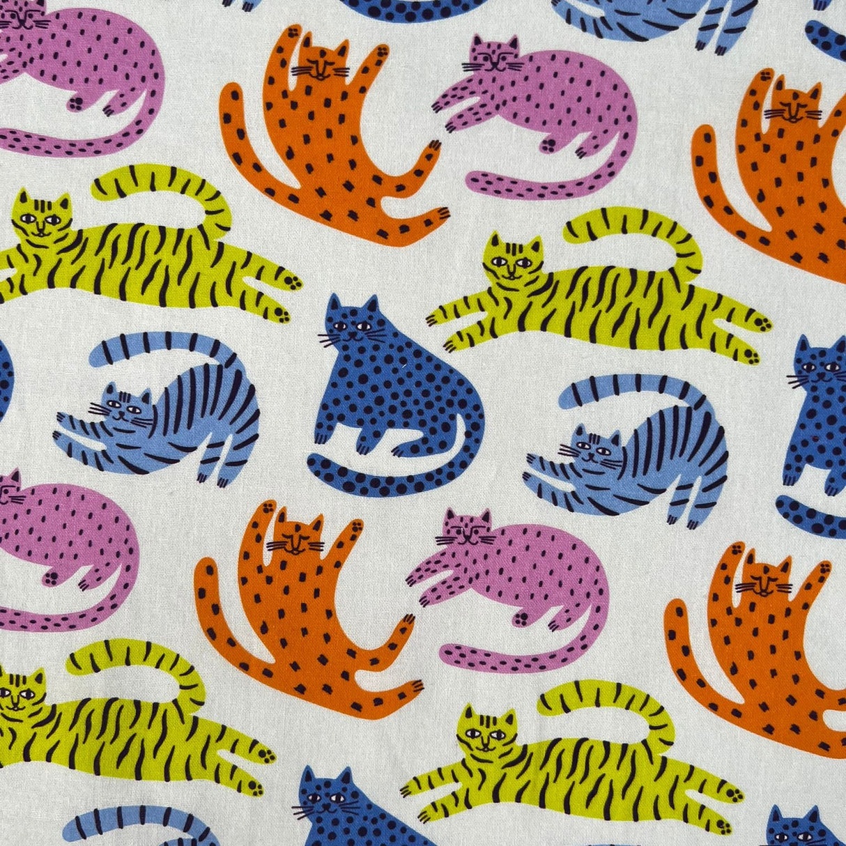 Cotton Print - Lazy Cats