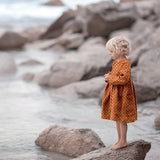 BA - Double Gauze - Sunflower - Terracotta