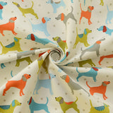 Canvas - Mans Best Friend - Summer