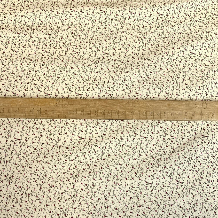 Combed Poplin - Sprig