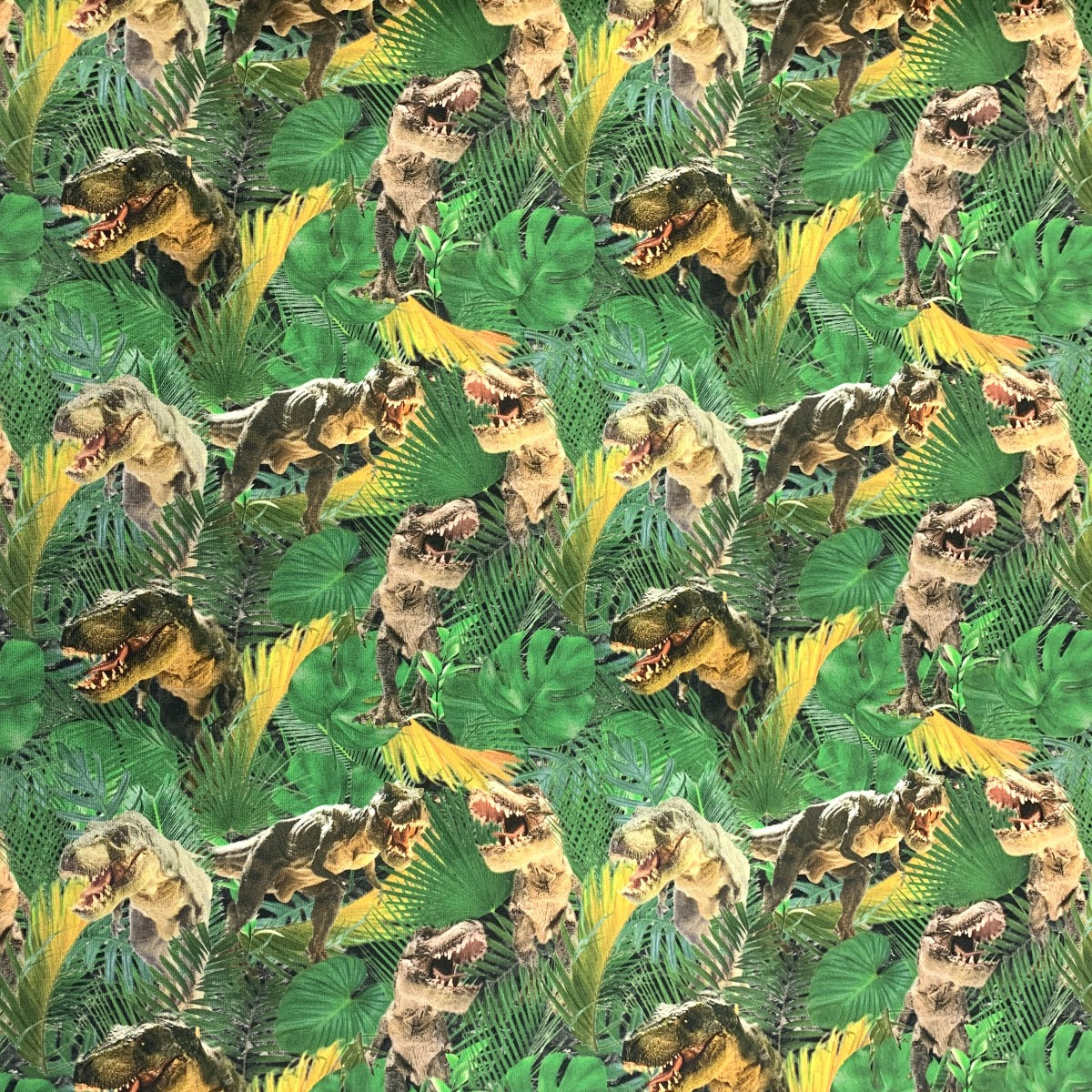 Digitally Printed French Terry - Dino Vally