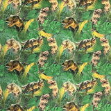 Digitally Printed French Terry - Dino Vally