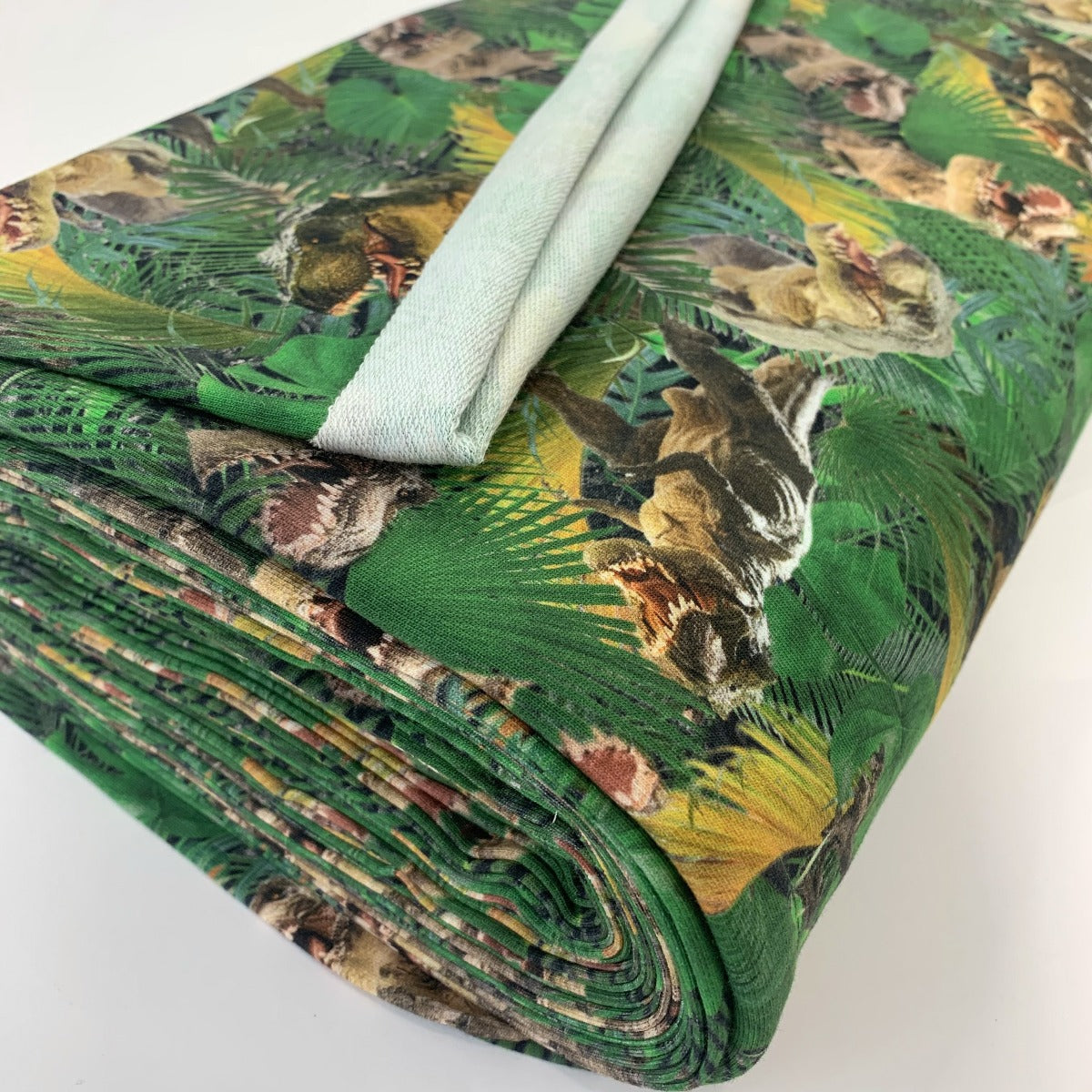 Cotton Jersey Fabric | Digitally Printed French Terry - Dino Vally ...