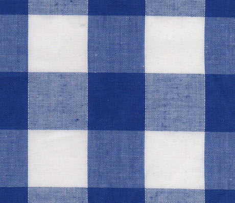 Gingham Blue 2