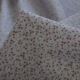 Gypsophila - Dove Grey