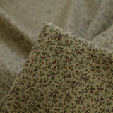 Gypsophila - Khaki