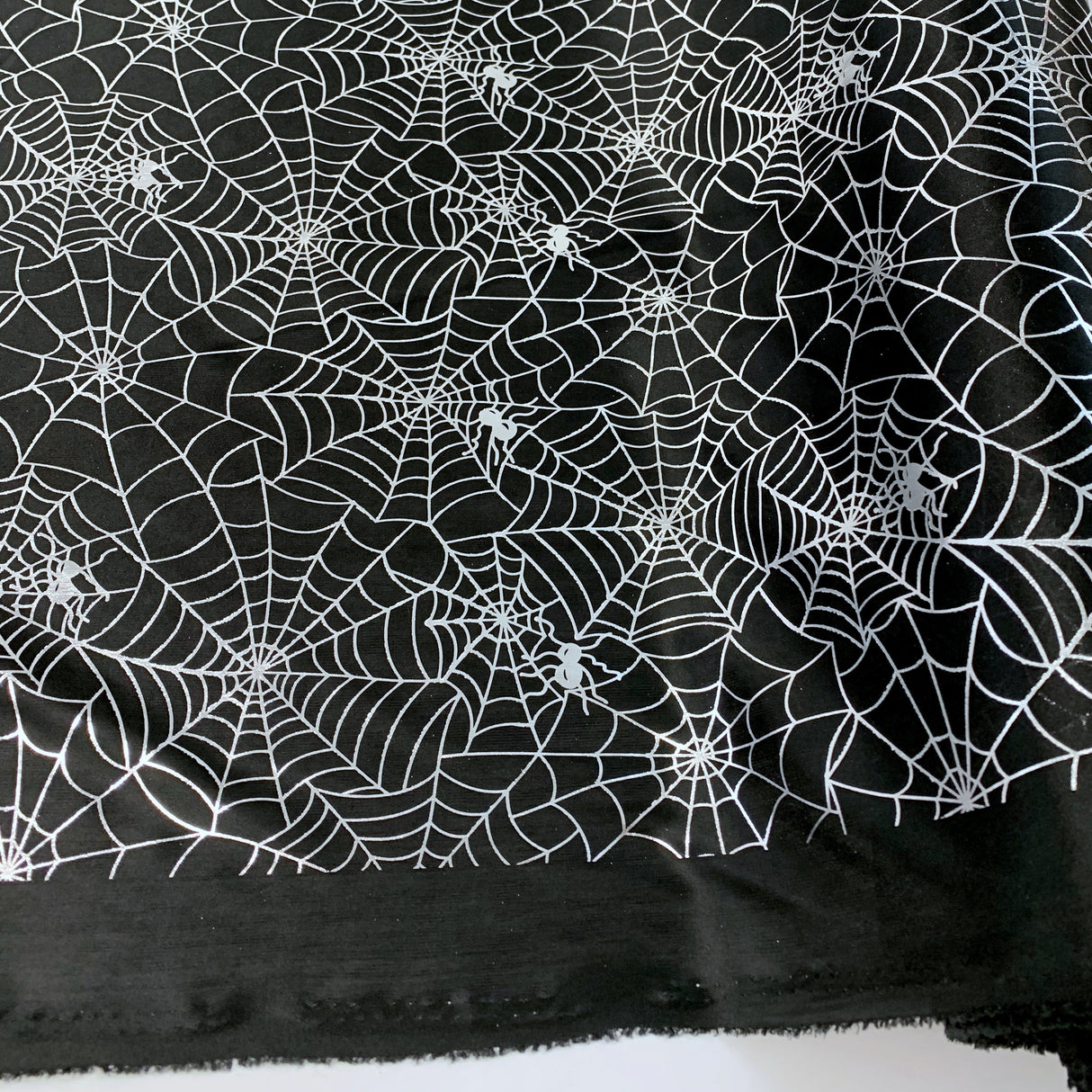 Halloween Spider Web