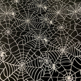 Halloween Spider Web