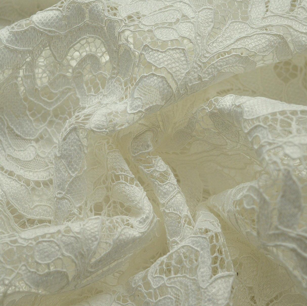 Double Scallop Lace - Soft White