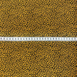 Little Leopard - Ochre