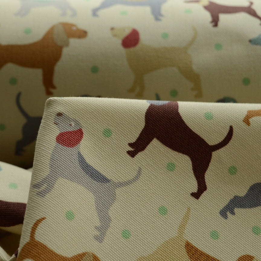 Canvas - Man's Best Friend