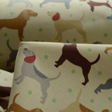 Canvas - Man's Best Friend