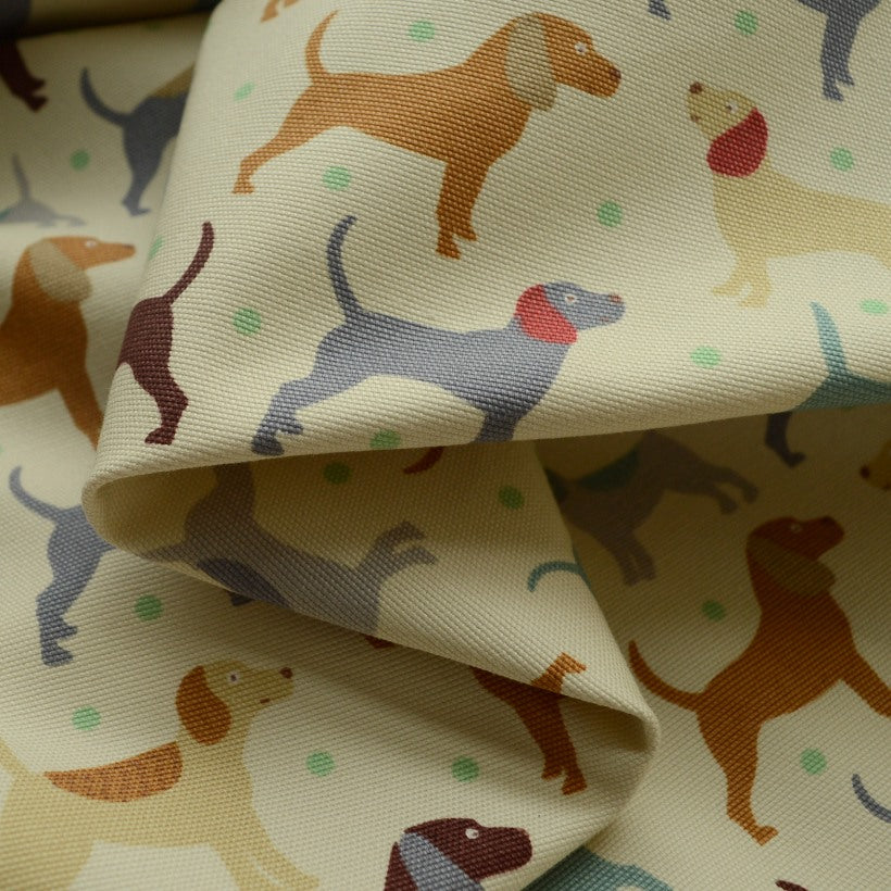 Canvas - Man's Best Friend