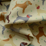 Canvas - Man's Best Friend