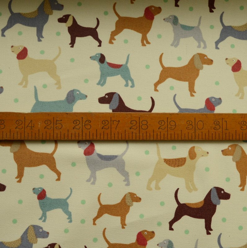 Canvas - Man's Best Friend