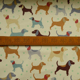 Canvas - Man's Best Friend