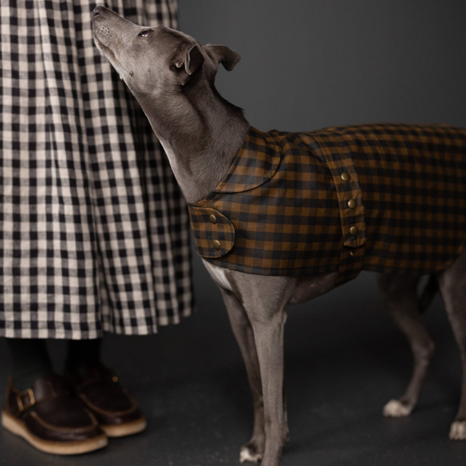 Merchant & Mills - Barka Dog Coat Pattern (UK XS-XL)