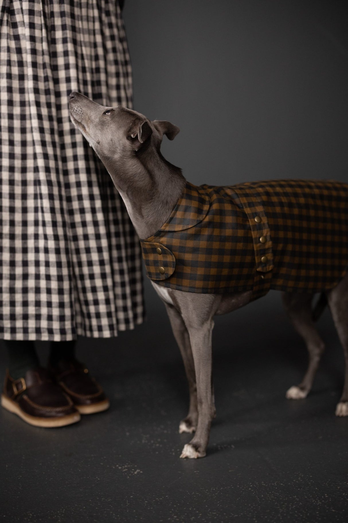 Merchant & Mills - Barka Dog Coat Pattern (UK XS-XL)