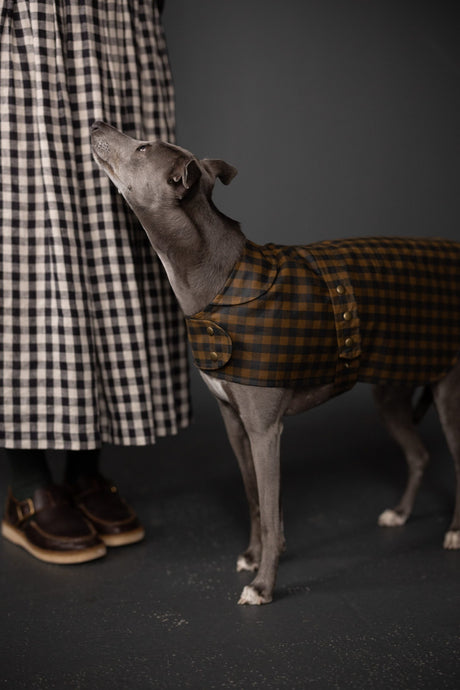Merchant Mills The Barka Dog Coat Pattern 1