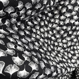 Pima Cotton Lawn - Midnight Fall - Black