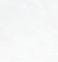 Polyester Anti Static Dress Linings White 0001