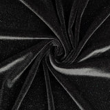 Stretch Glitter Velvet - Black