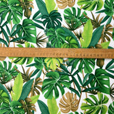 Poplin Print - Molokai - White