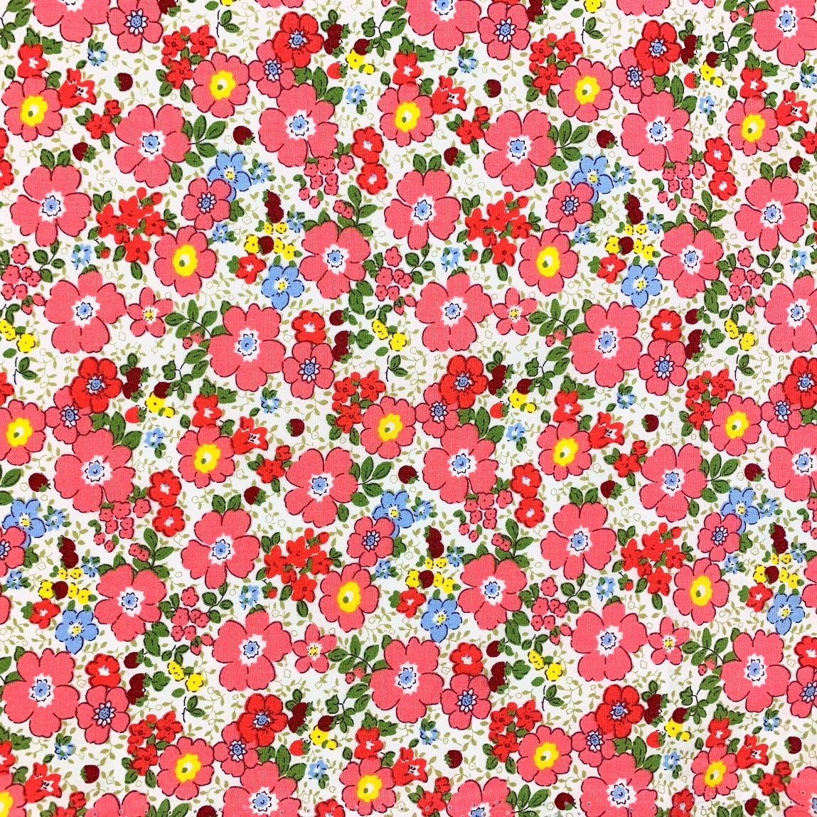 Poplin Print - Aston - Coral