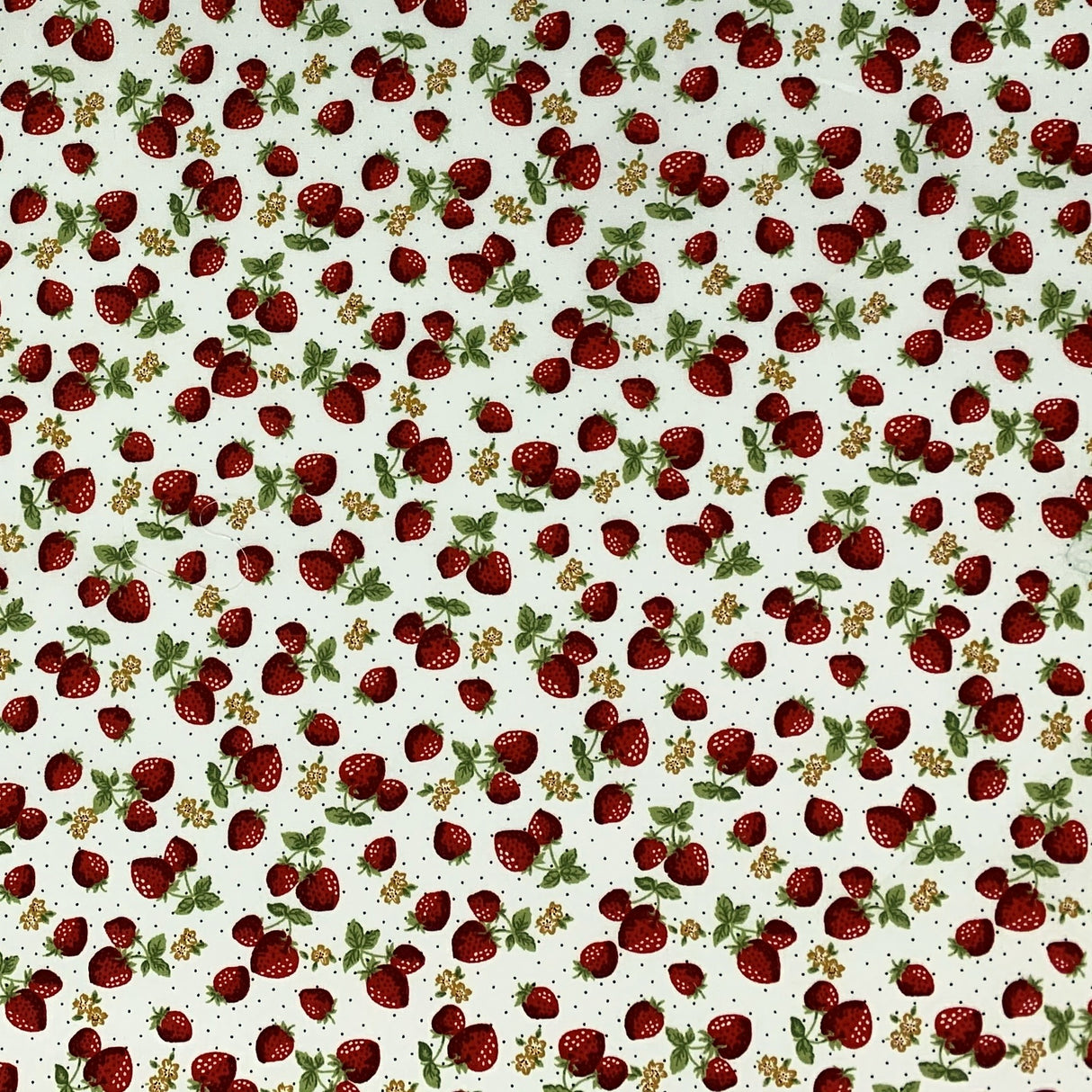 Poplin Print - Strawberry Pie - Ivory