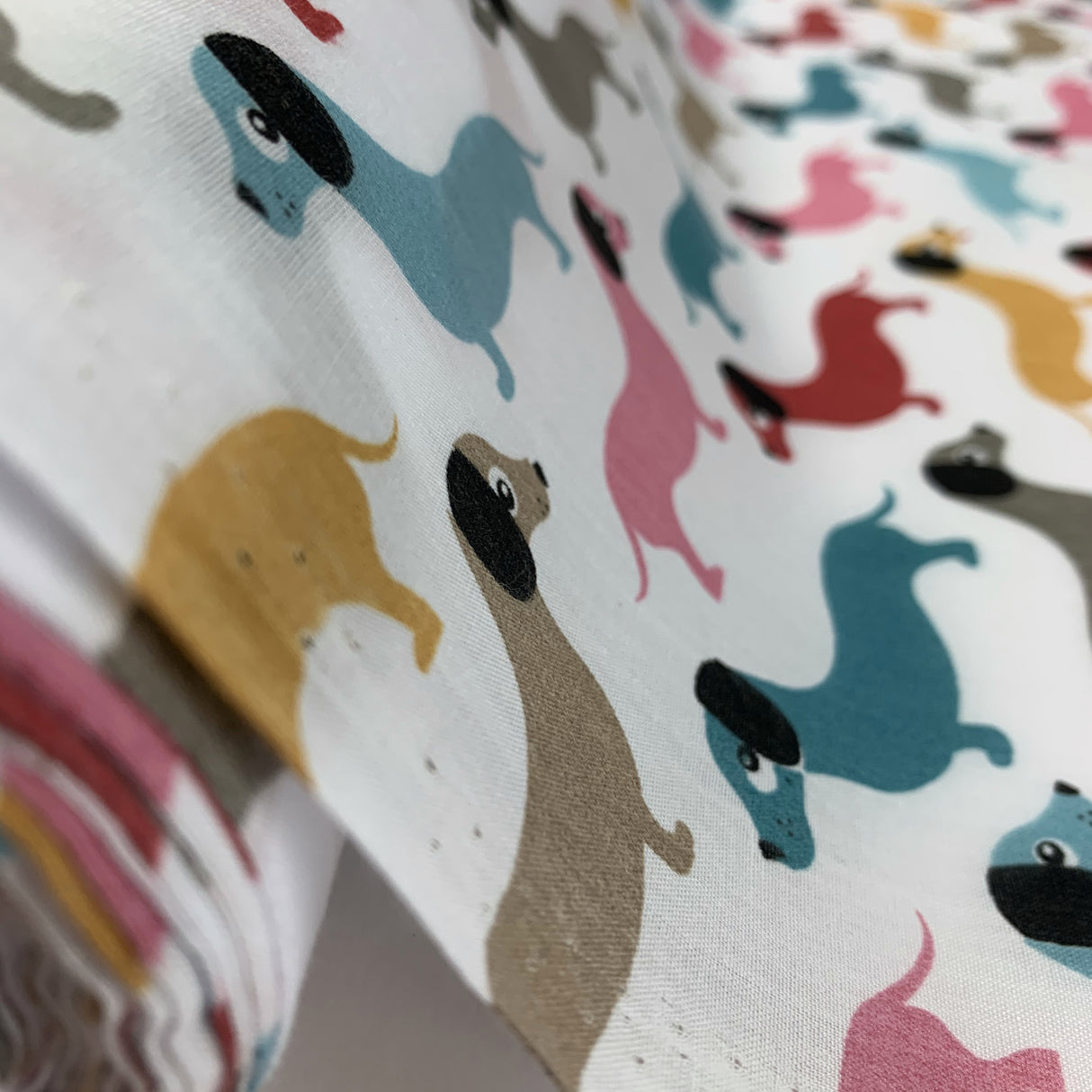 Pretty Polly - Wiener Dogs