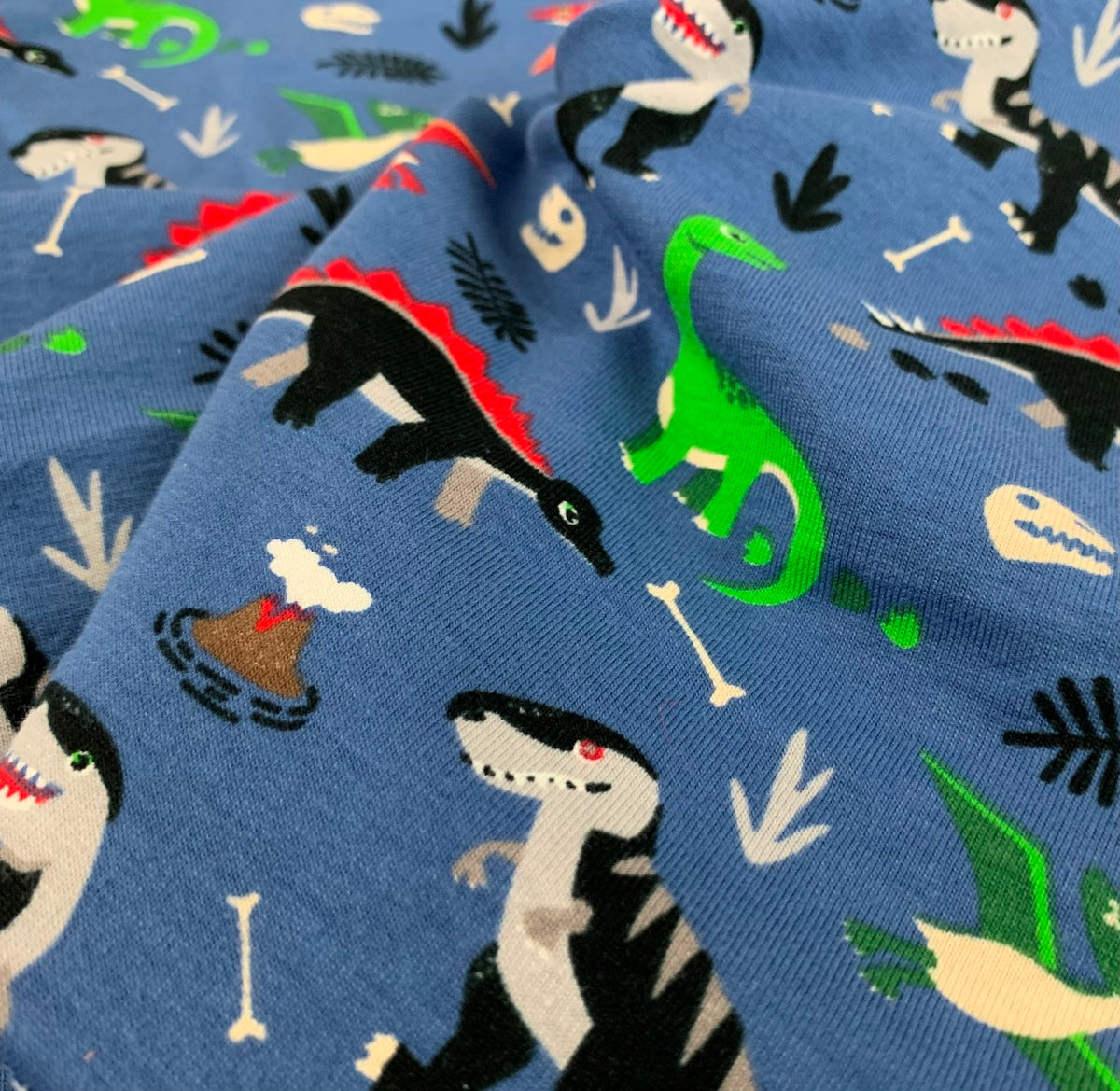 Premier - Dinosaurs - Blue