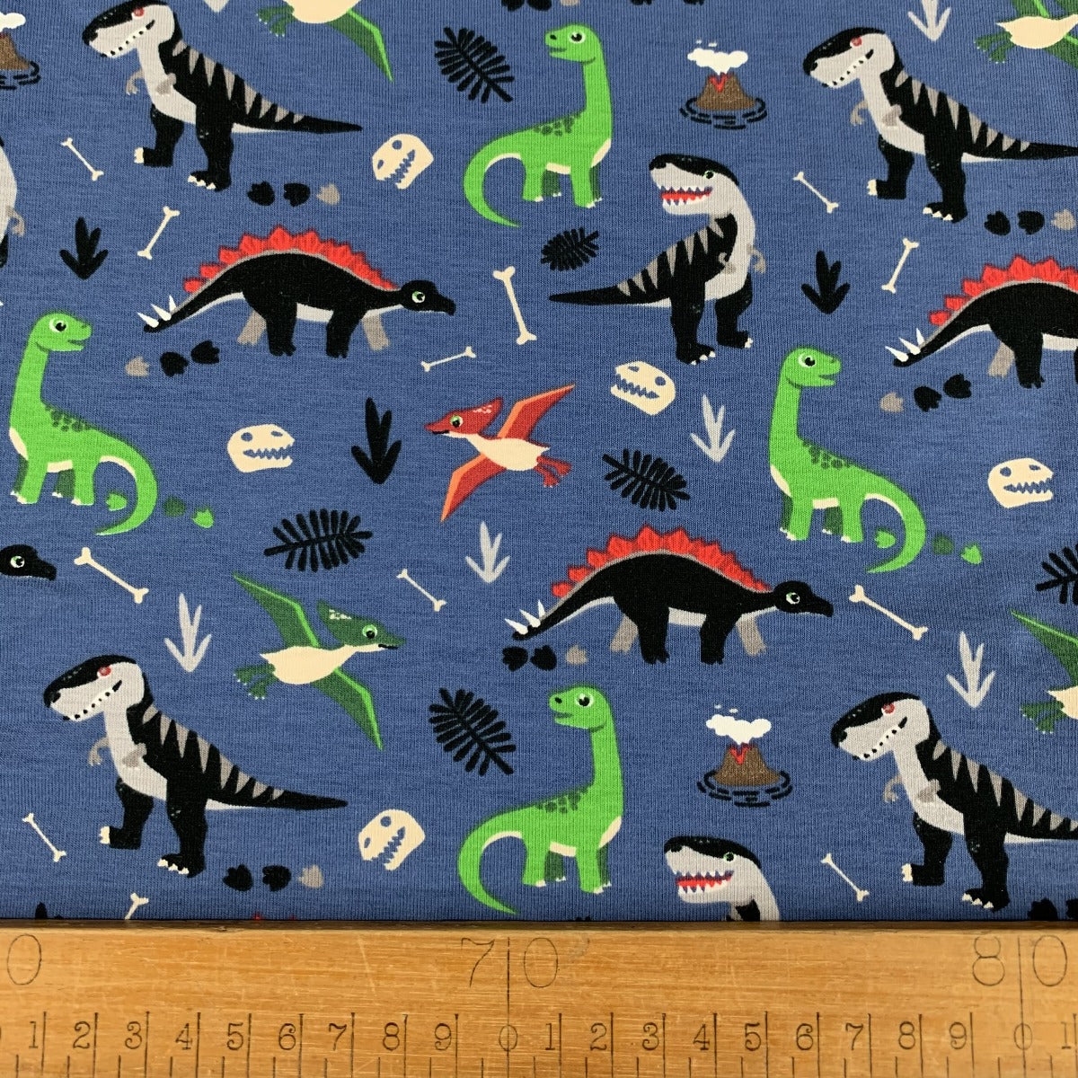 Premier - Dinosaurs - Blue