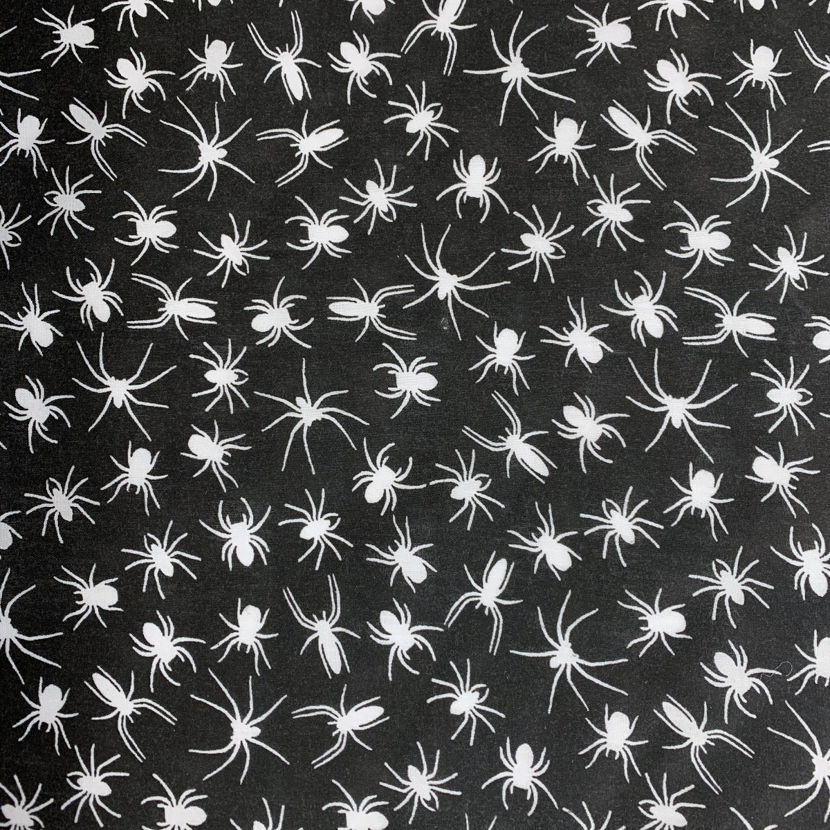 Pretty Polly - Spiders