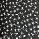 Pretty Polly - Spiders