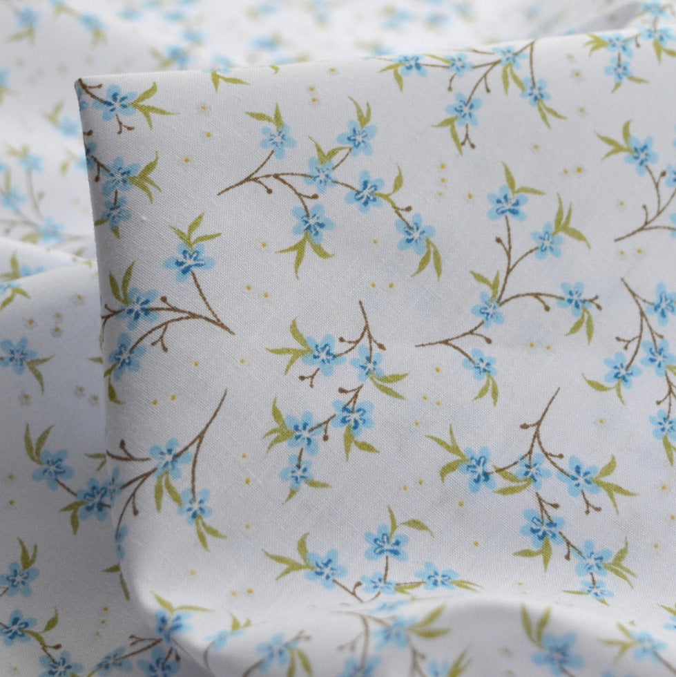 Put The Kettle On - Orchid - Blue