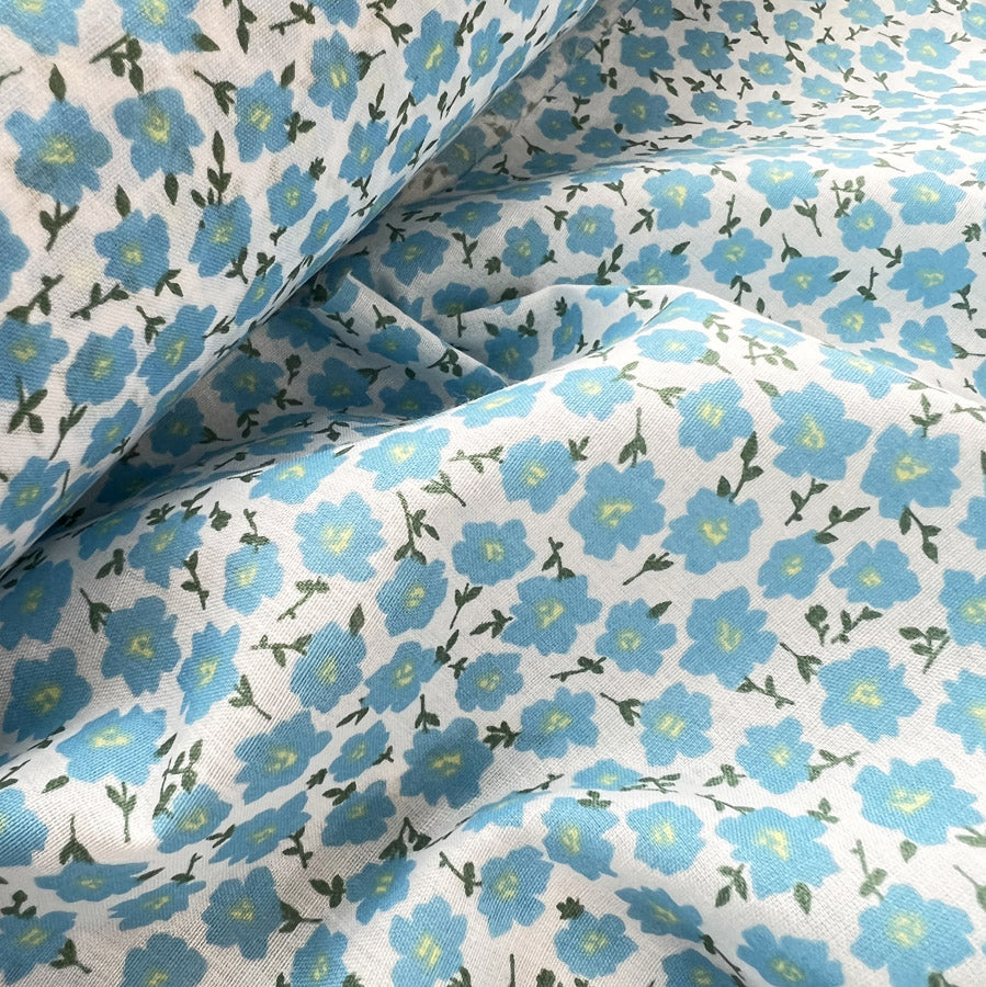 Pretty Polly - Blue Clematis