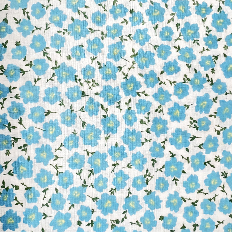 Pretty Polly - Blue Clematis