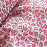 Pretty Polly - Pink Clematis