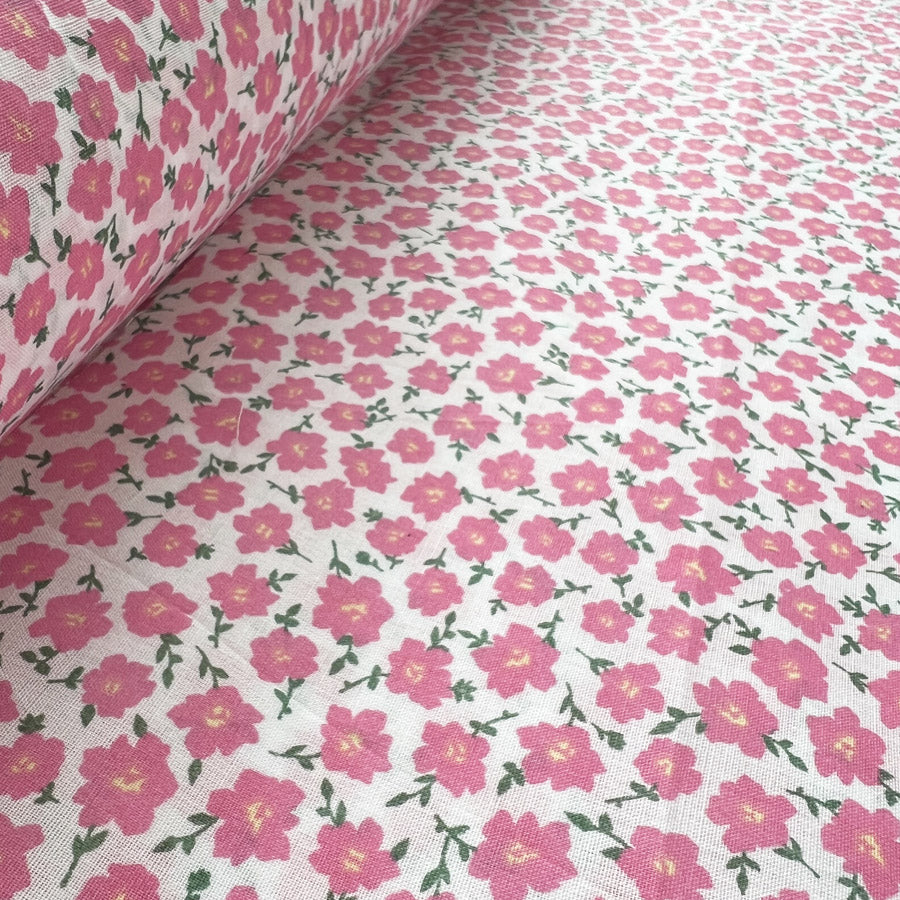 Pretty Polly - Pink Clematis