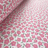 Pretty Polly - Pink Clematis