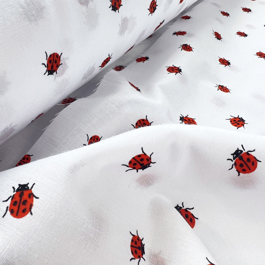 Pretty Polly - Ladybirds