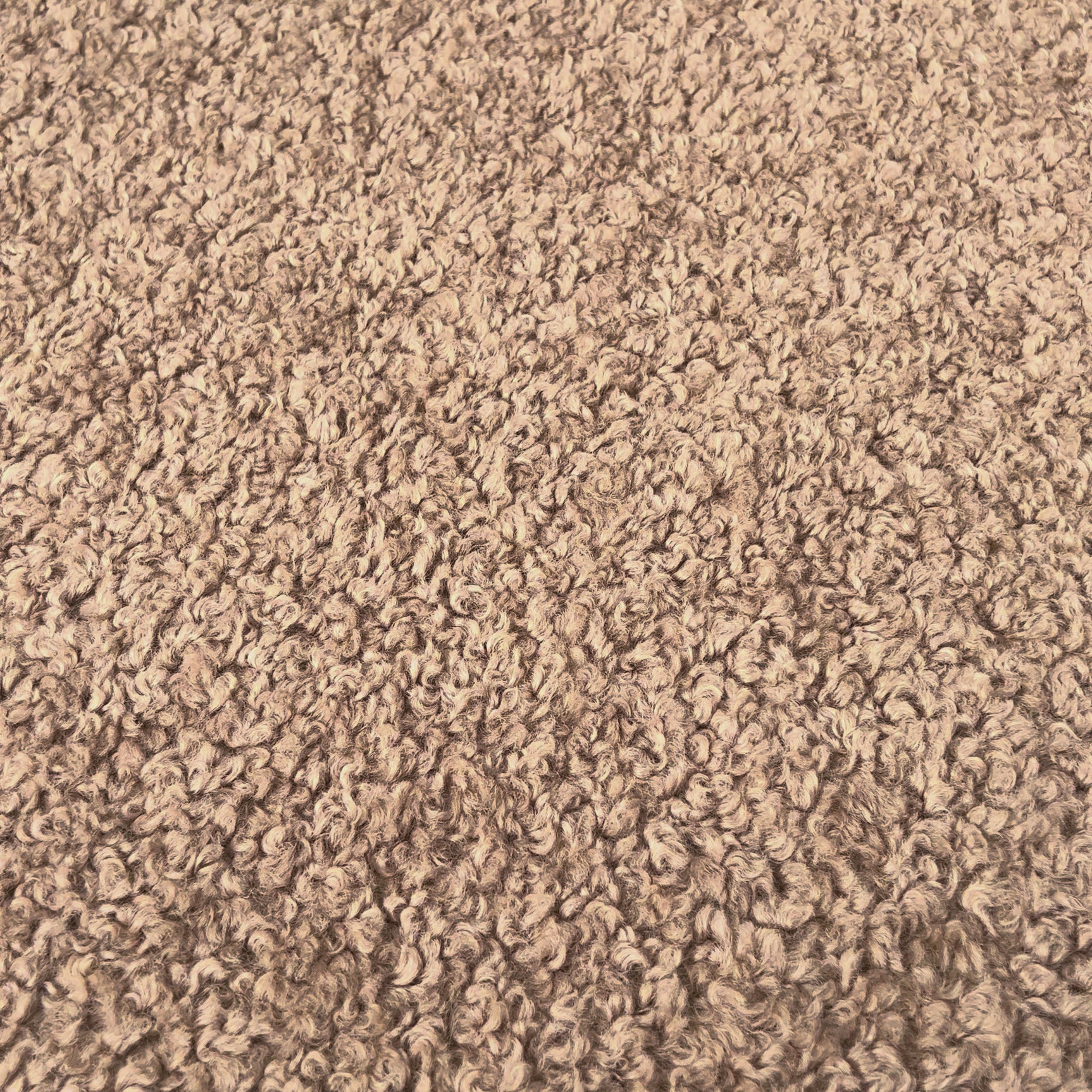 Sheepskin Heavy Boucle Camel Batch 2 Video